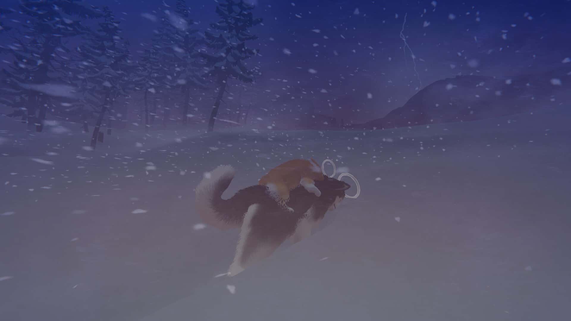 我的小柯基(My Little Puppy)