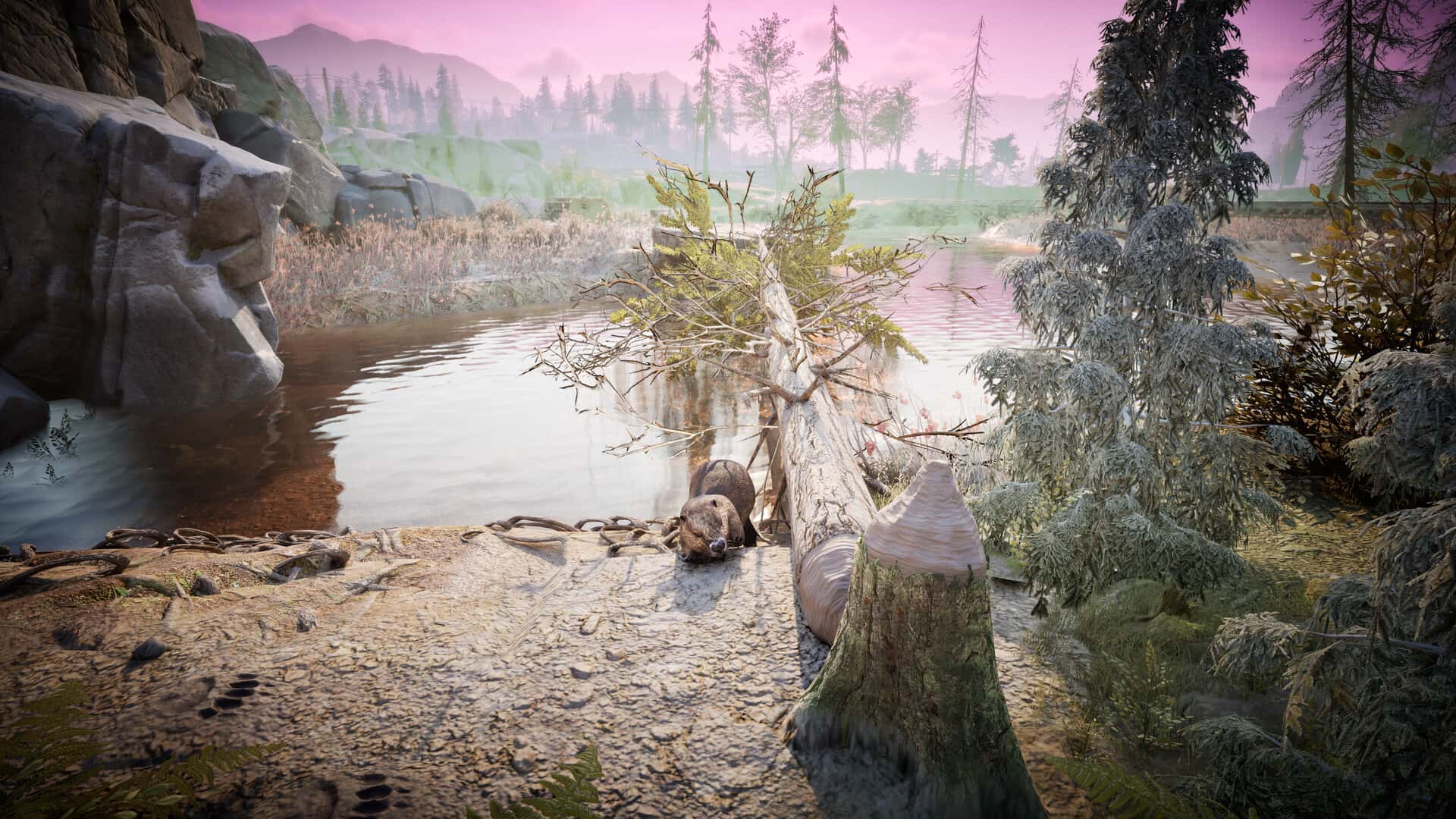 冬日幸存者(Winter Survival)