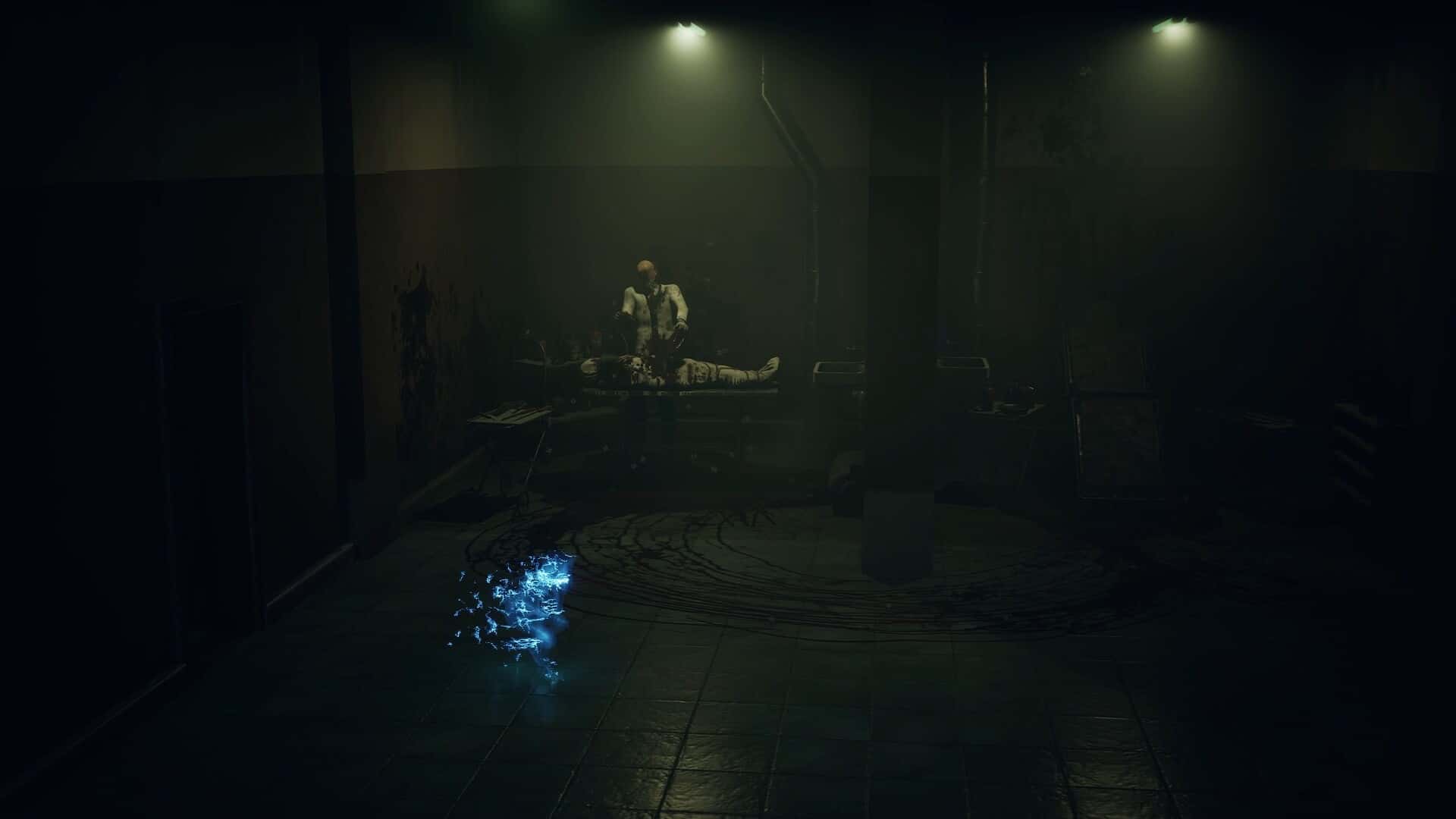 寂静之国的波斯菊(Ayasa: Shadows of Silence)