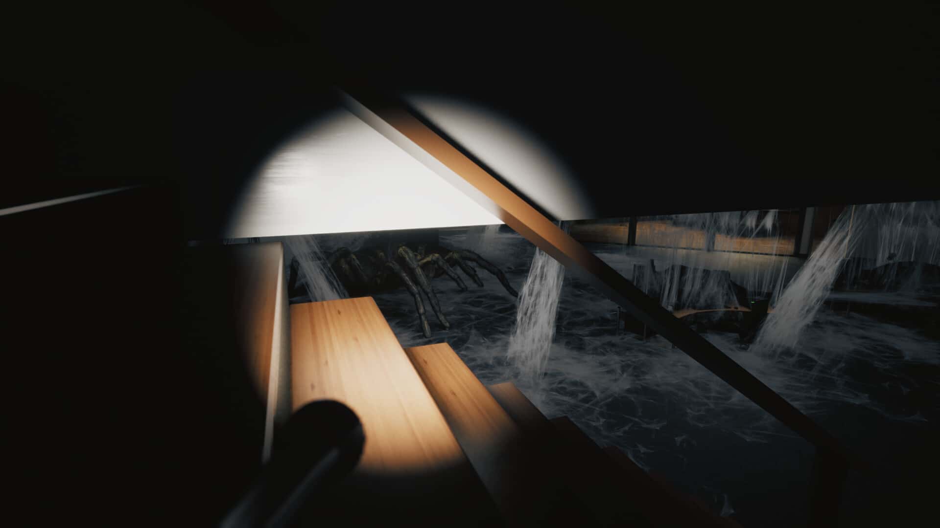 巨蛛猎手(Huntsman)